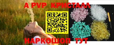 винт Сланцы