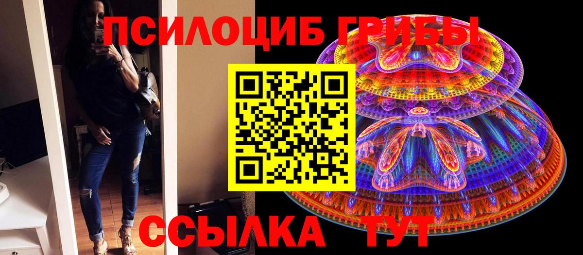 Галлюциногенные грибы MAGIC MUSHROOMS  Вход с VPN  Орёл 